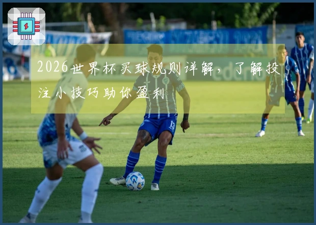 2026世界杯买球规则详解，了解投注小技巧助你盈利