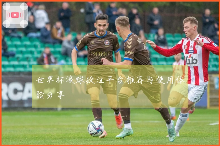 世界杯滚球投注平台推荐与使用体验分享
