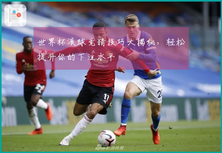 世界杯滚球竞猜技巧大揭秘，轻松提升你的下注水平