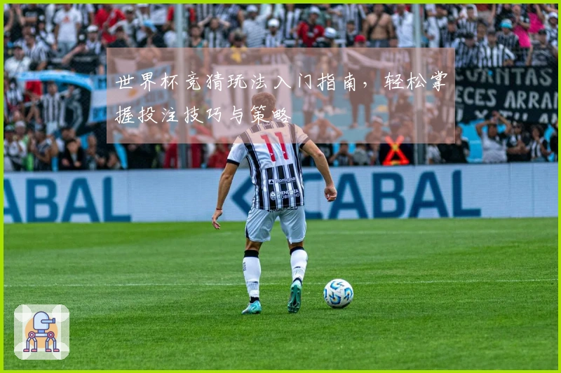 世界杯竞猜玩法入门指南，轻松掌握投注技巧与策略