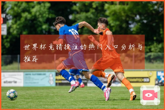 世界杯竞猜投注的热门入口分析与推荐
