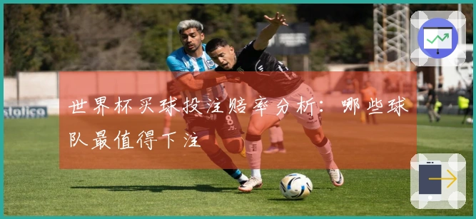 世界杯买球投注赔率分析:哪些球队最值得下注