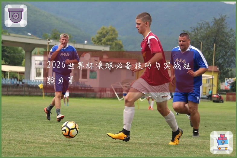 2026世界杯滚球必备技巧与实战经验分享