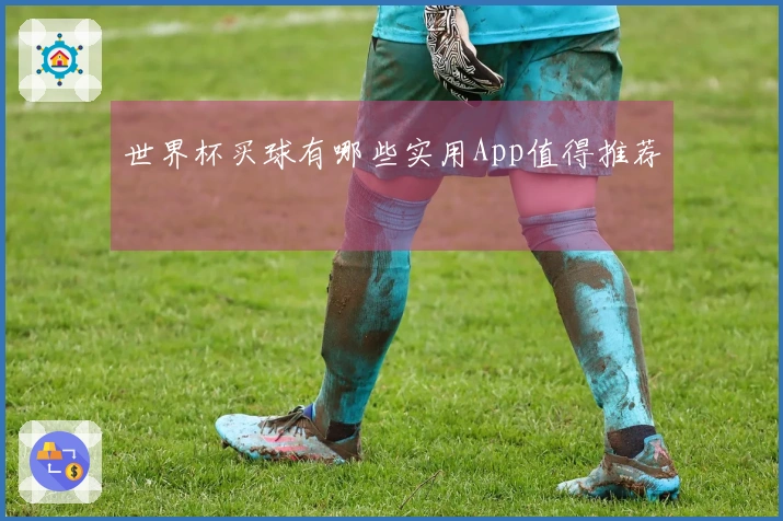 世界杯买球有哪些实用App值得推荐