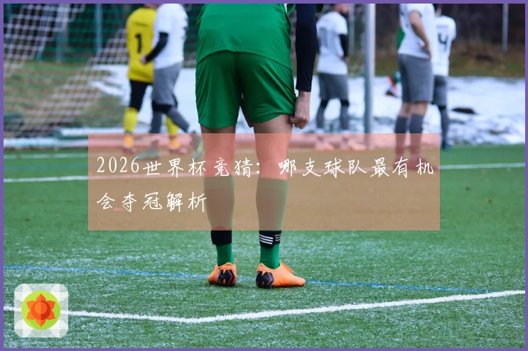 2026世界杯竞猜：哪支球队最有机会夺冠解析