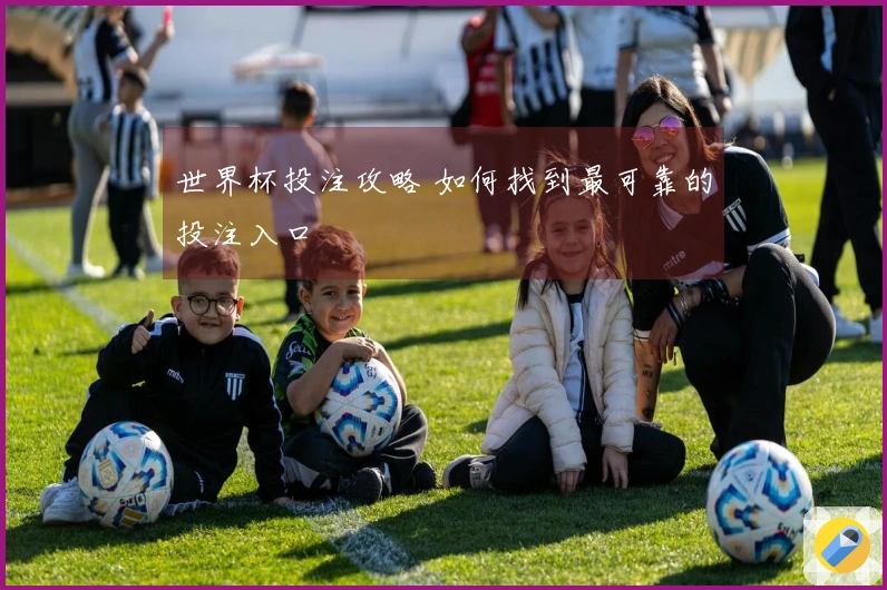 世界杯投注攻略 如何找到最可靠的投注入口