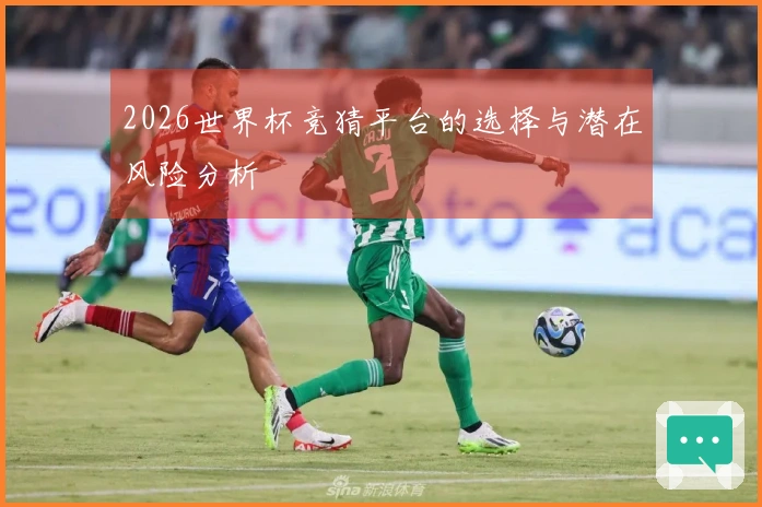 2026世界杯竞猜平台的选择与潜在风险分析