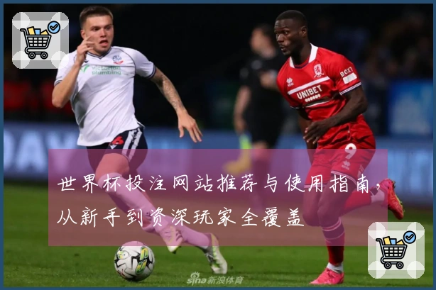 世界杯投注网站推荐与使用指南，从新手到资深玩家全覆盖