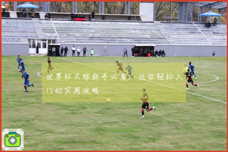 世界杯买球新手必看:让你轻松入门的实用攻略