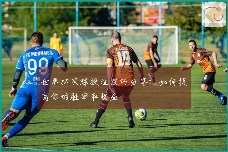 世界杯买球投注技巧分享：如何提高你的胜率和收益