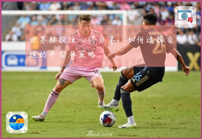 世界杯投注心得分享，如何选择合适的平台和策略