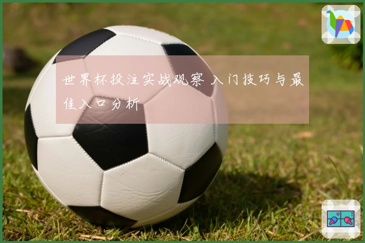 世界杯投注实战观察 入门技巧与最佳入口分析