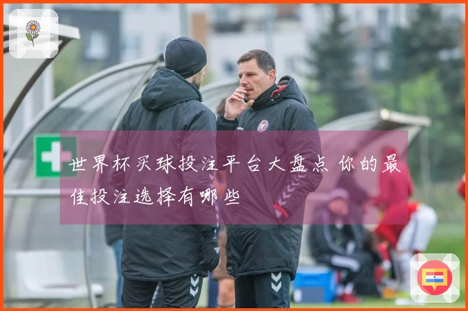 世界杯买球投注平台大盘点 你的最佳投注选择有哪些
