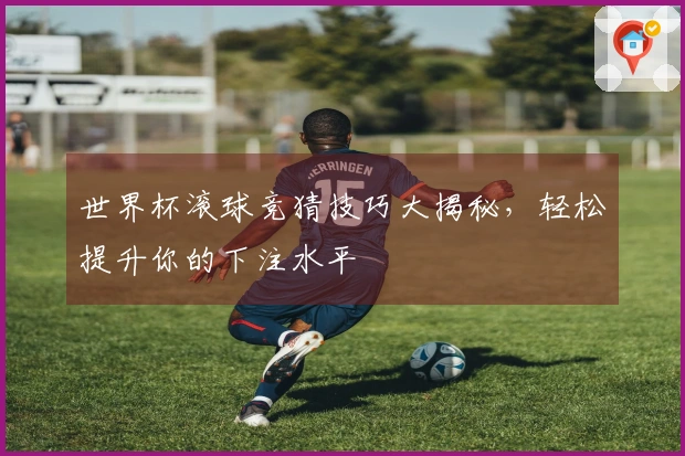 世界杯滚球竞猜技巧大揭秘，轻松提升你的下注水平