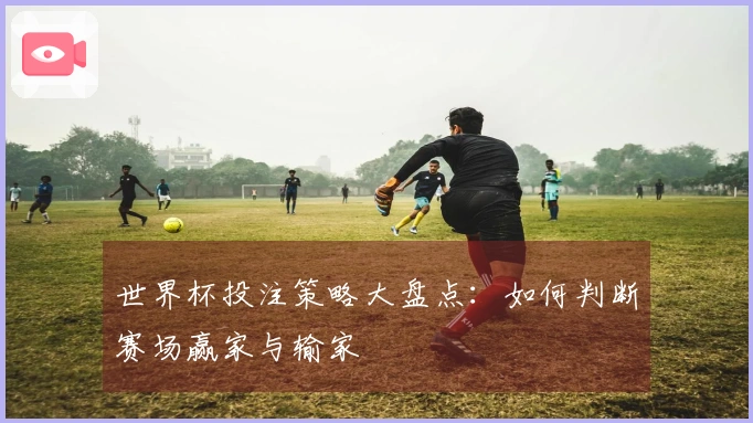 世界杯投注策略大盘点：如何判断赛场赢家与输家